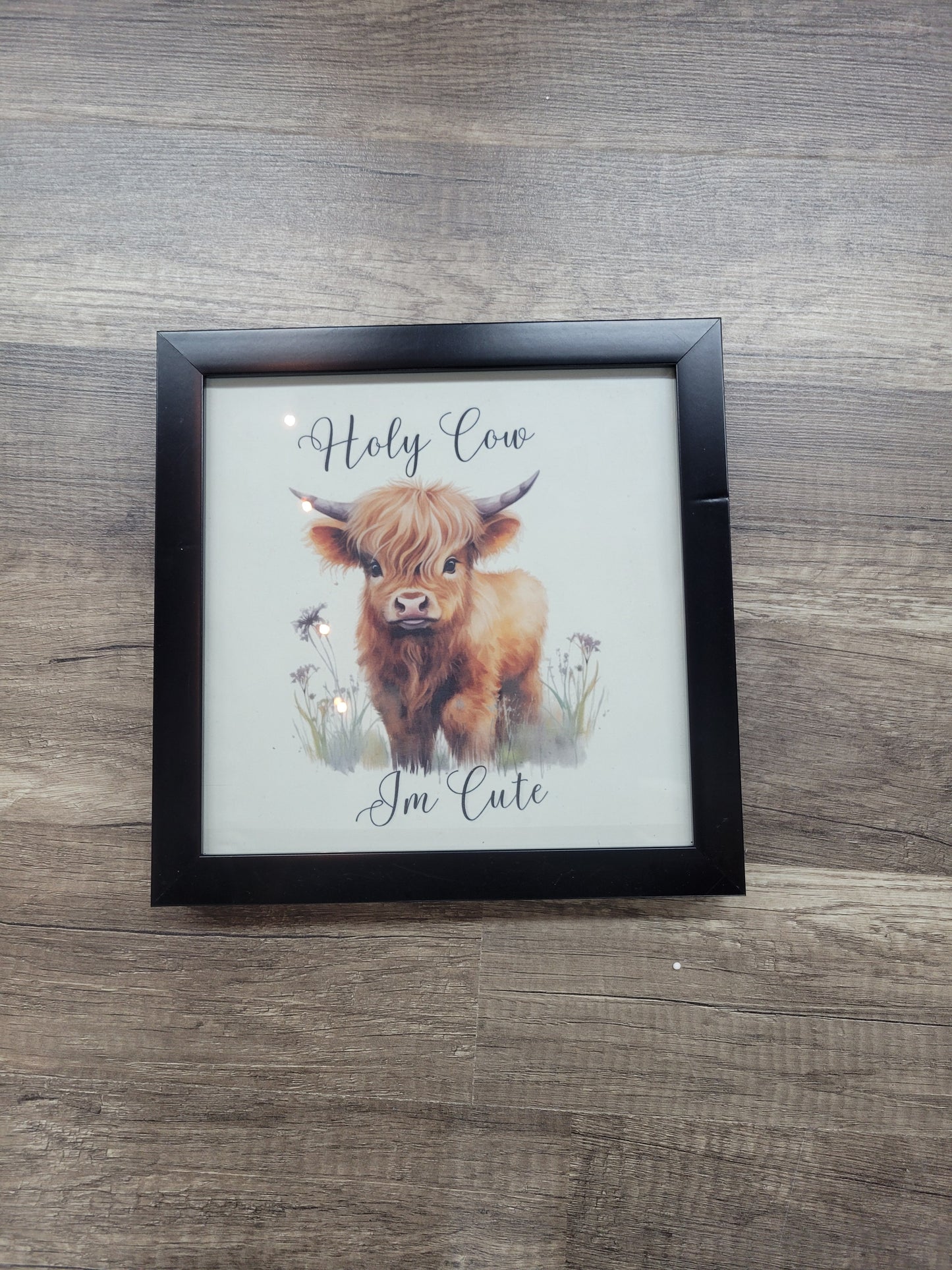 "Holy Cow I'm Cute" Highland Cow Wall Art – 8x8 Framed Baby Calf Decor – Rustic Nursery Art – Funny Farmhouse Kids Room Decor – Black Framed Highland Cow Print