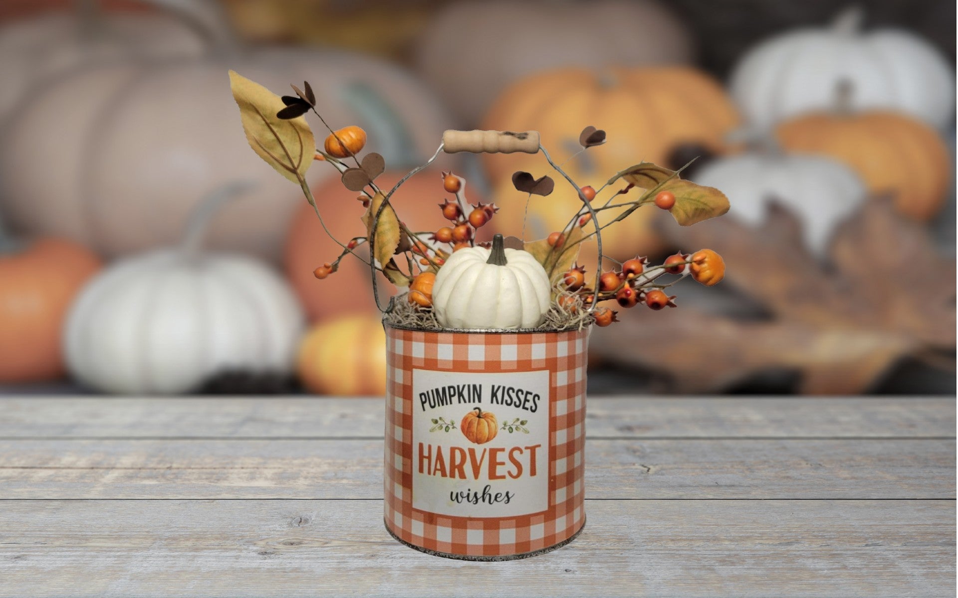 Pumpkin Kisses Buffalo Check bucket | White - White, Bucket