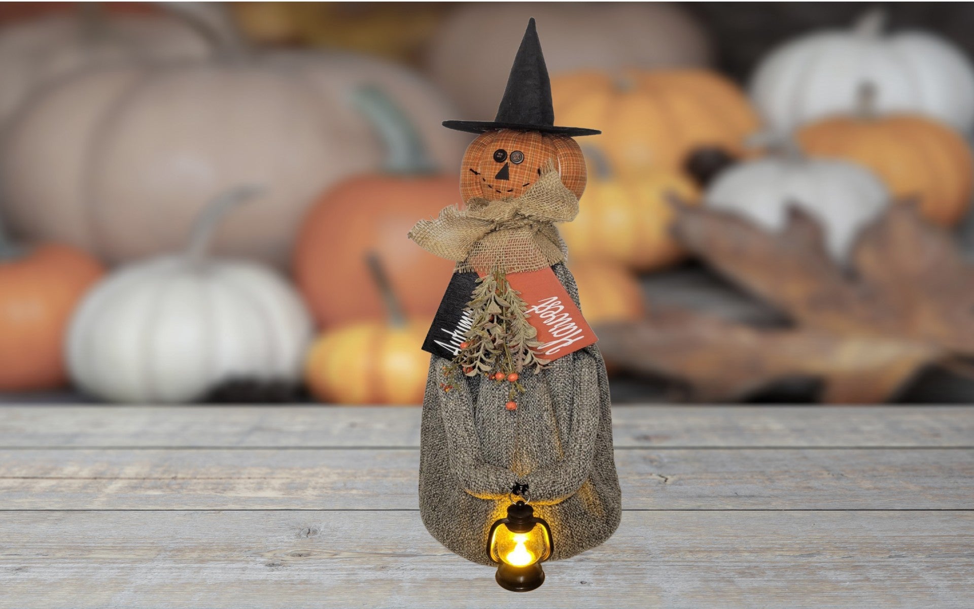 Pumpkin Witch with Lantern - Witch, Dark