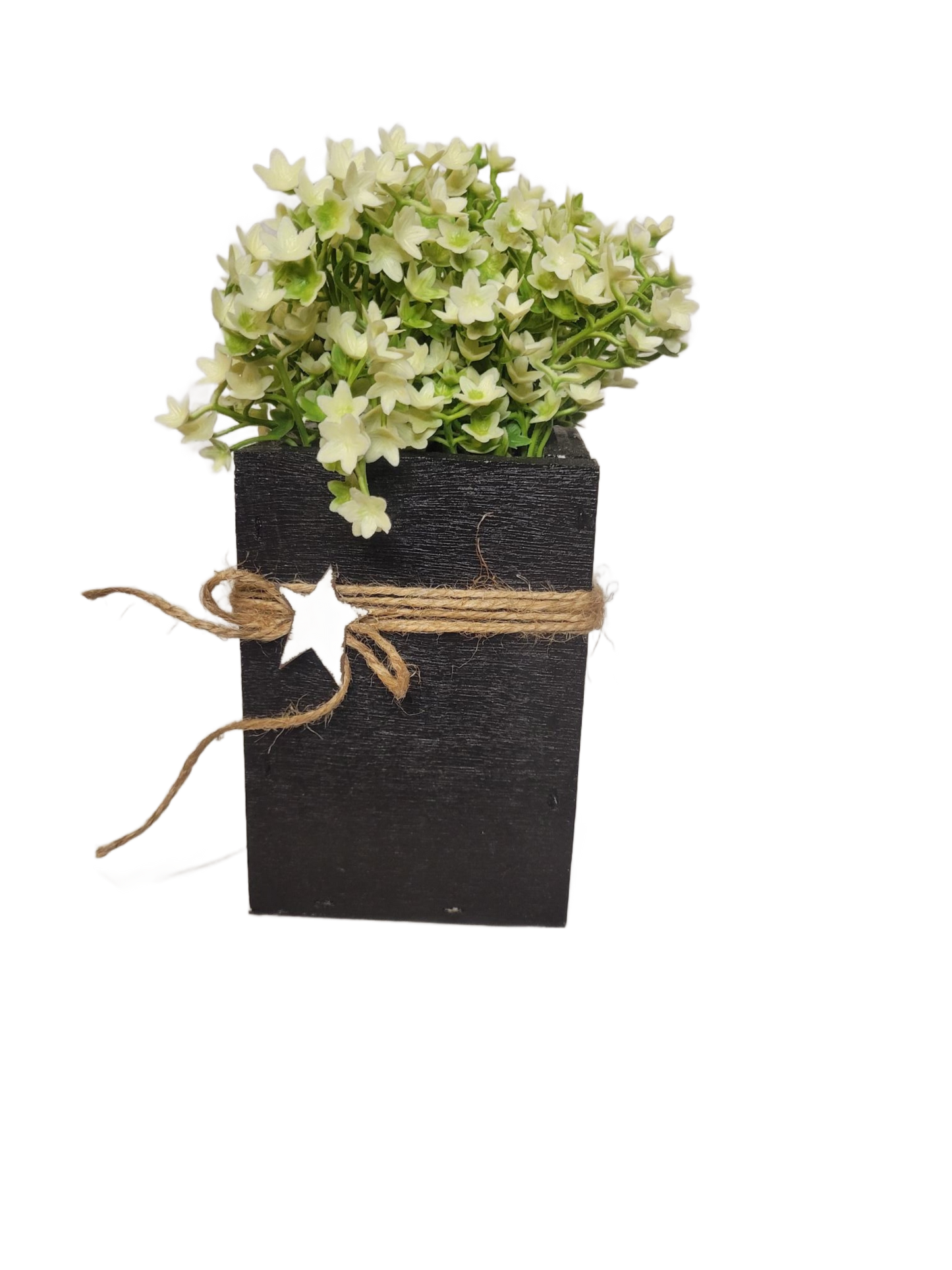 Star Box Floral | White - White, Flower