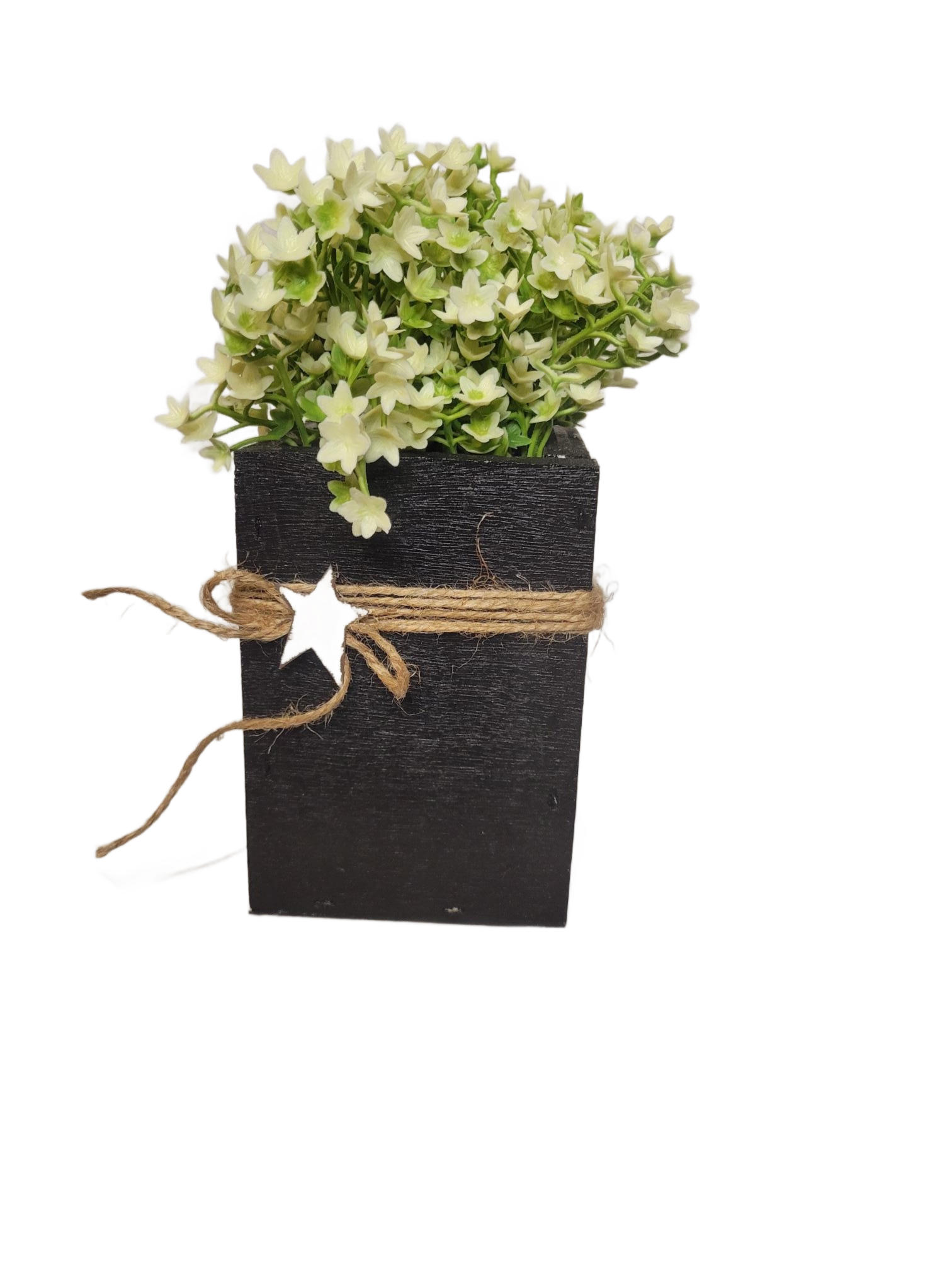 Star Box Floral | White - White, Flower