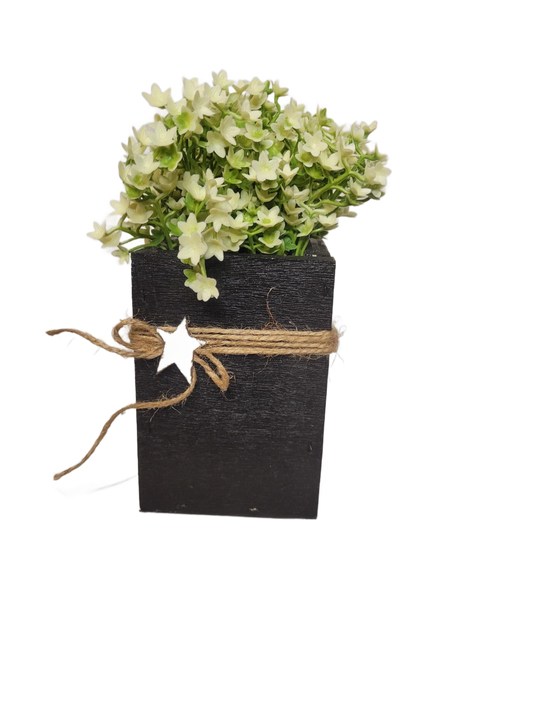 Star Box Floral | White - White, Flower
