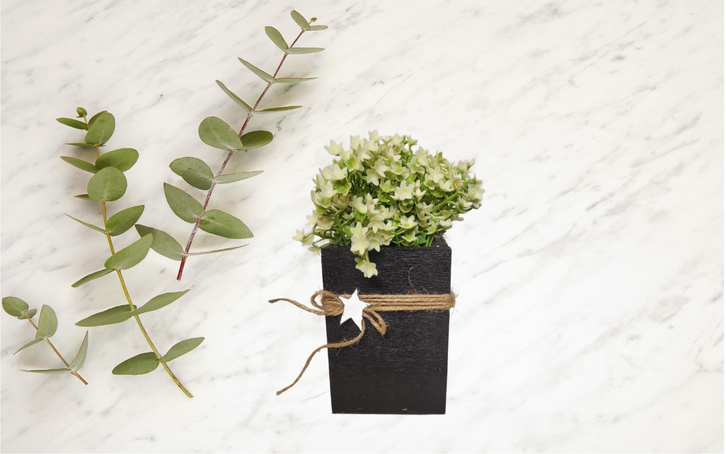 Star Box Floral | White - White, Flower
