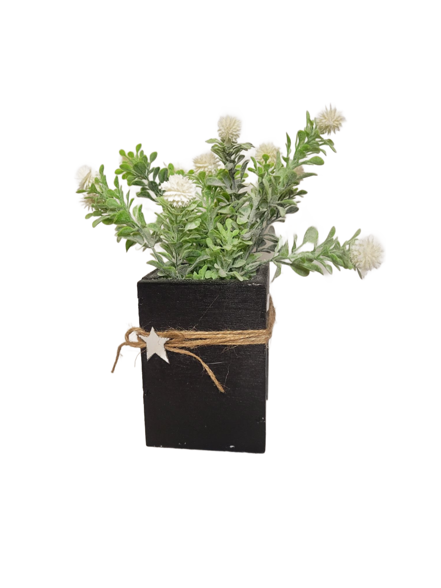 Star Box Floral | White - White, Flower