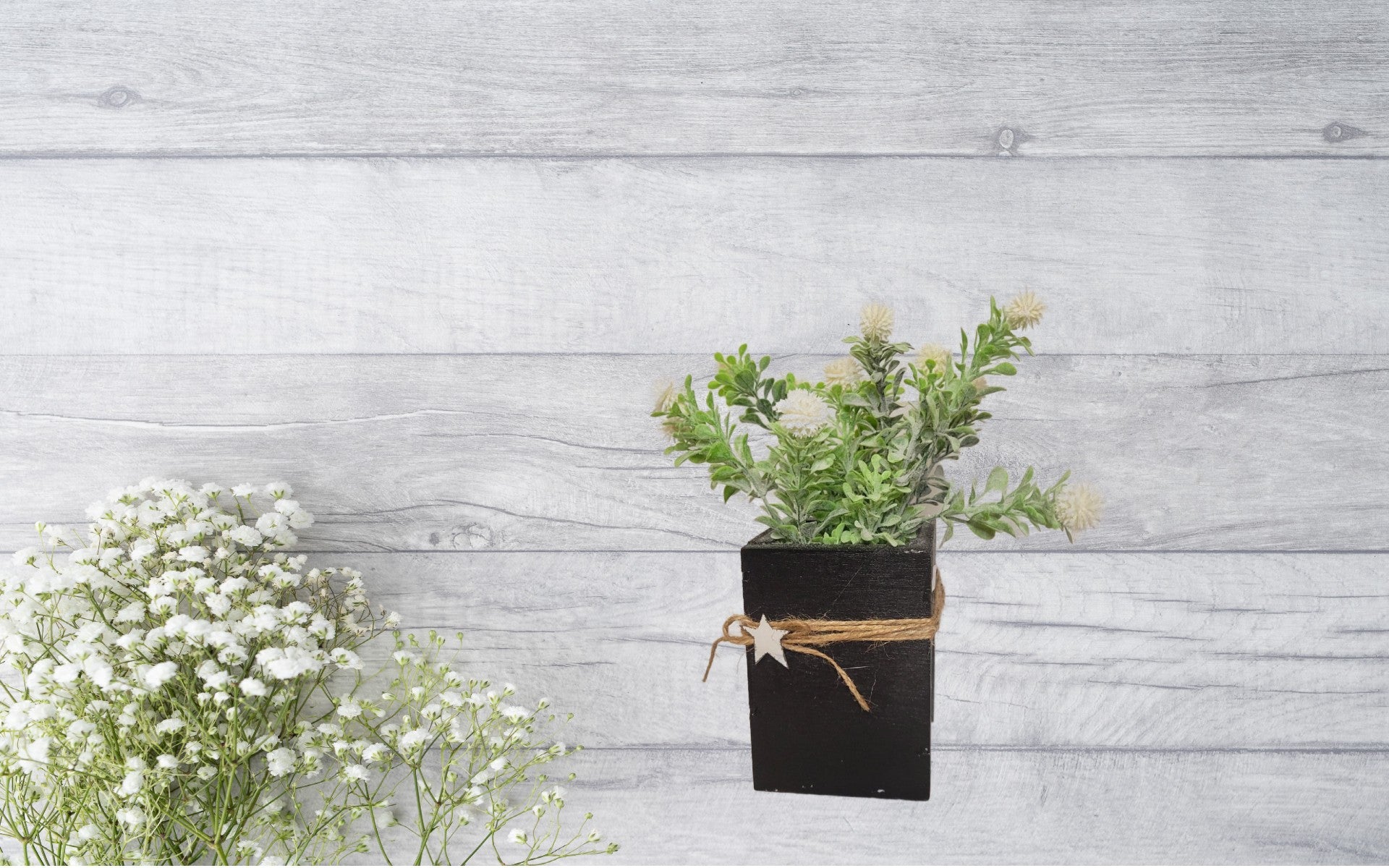 Star Box Floral | White - White, Flower