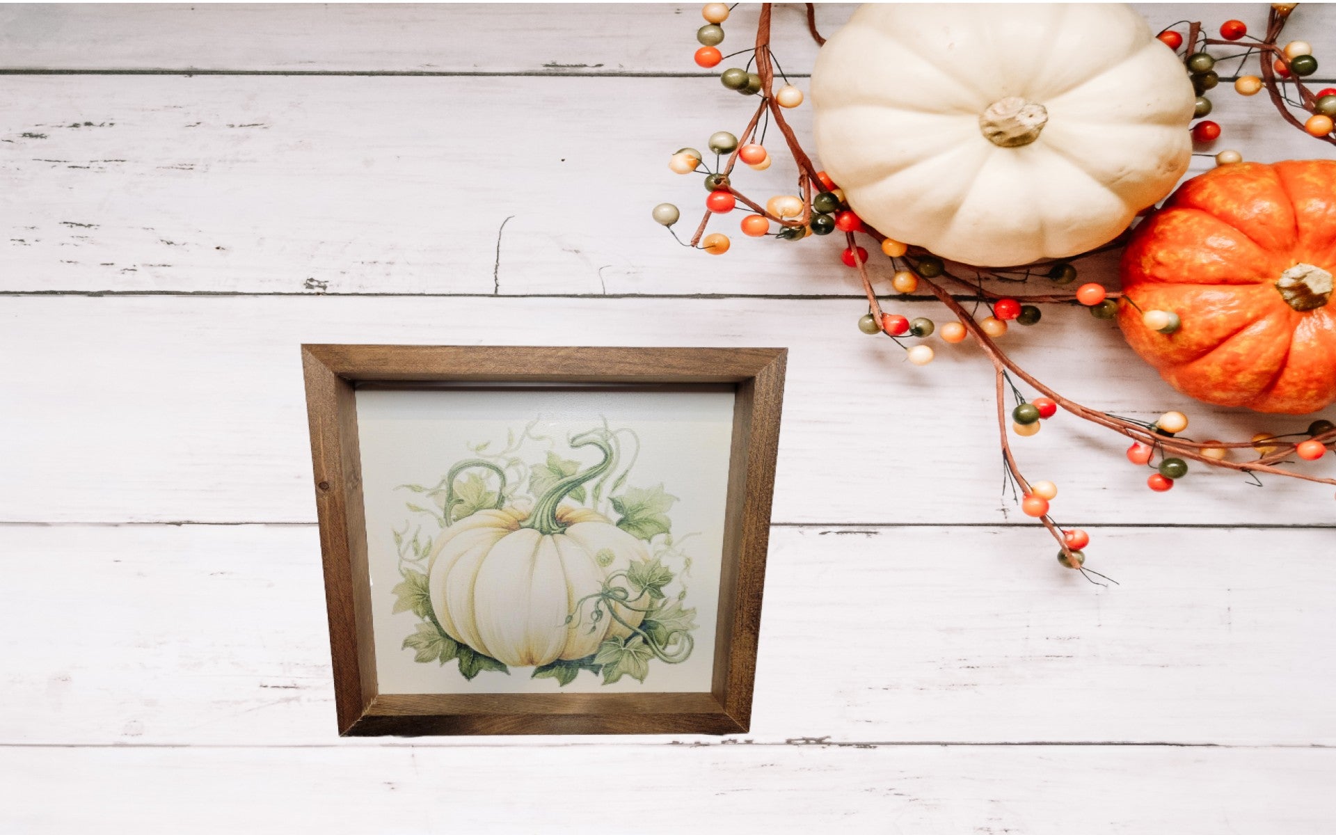 White Pumpkin Sign | Stain - Stain, Frame