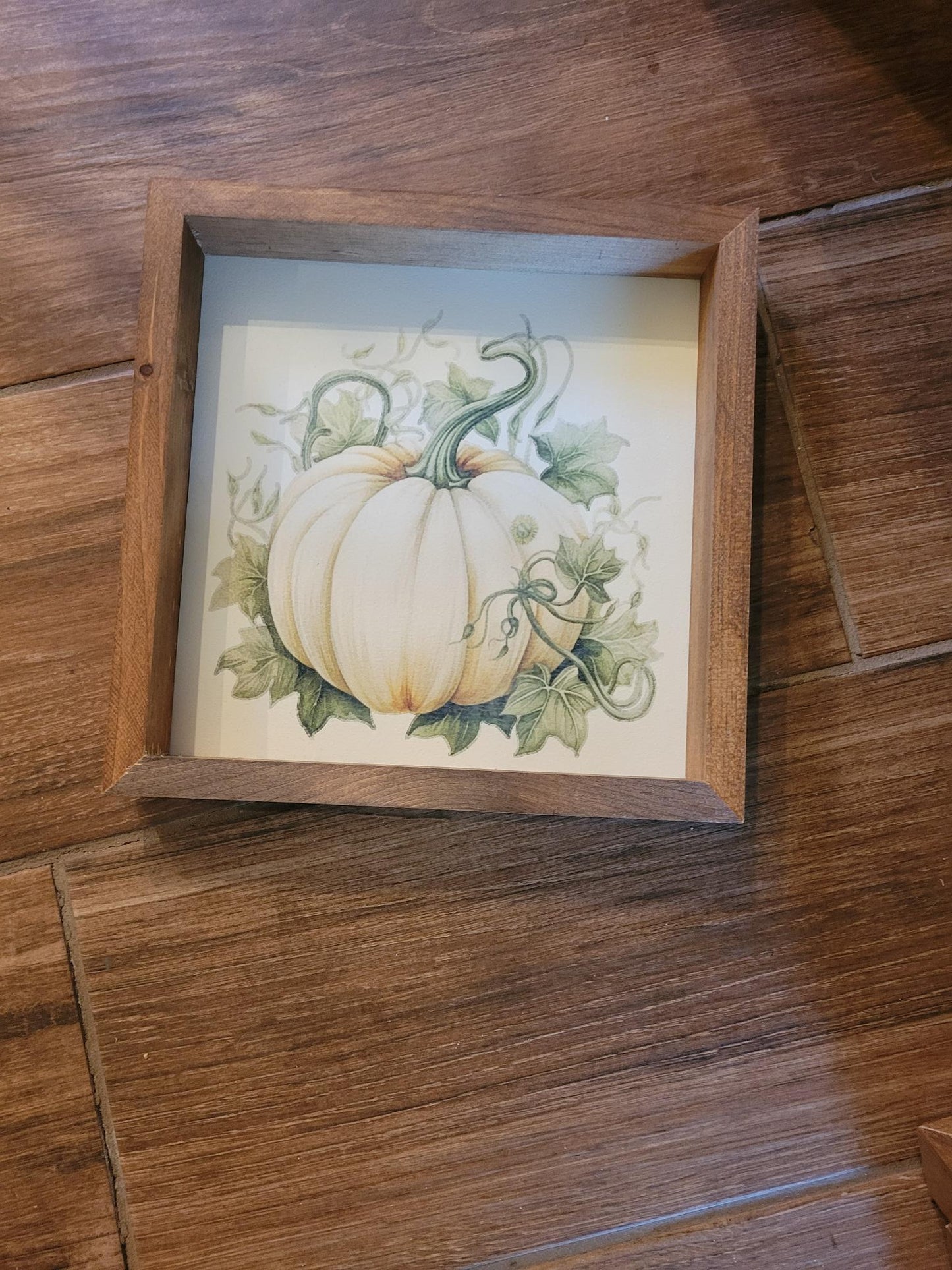 White Pumpkin Sign | Stain - Stain, Frame