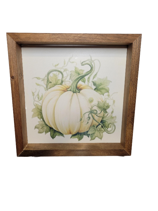 White Pumpkin Sign | Stain - Stain, Frame