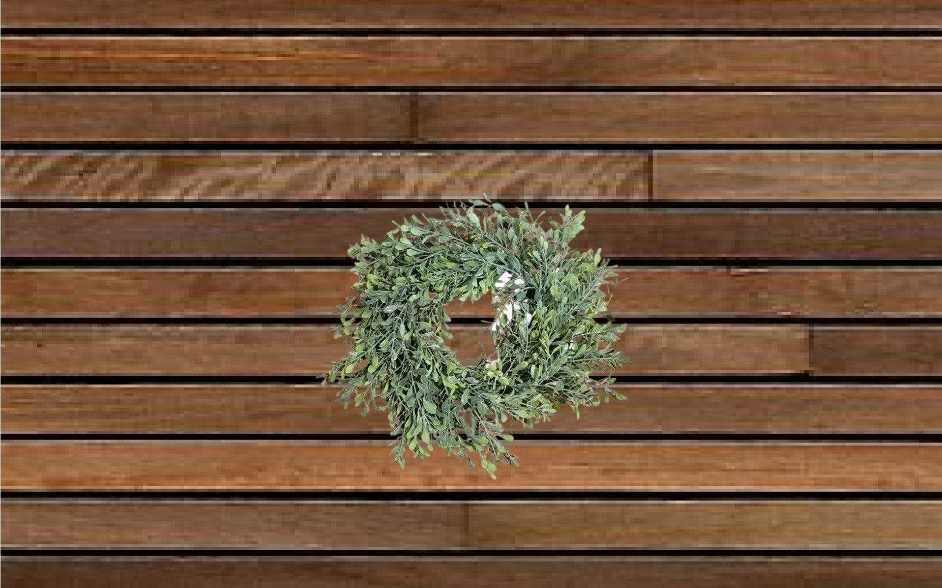 Basil Boxwood Wreath - Basil, Boxwood