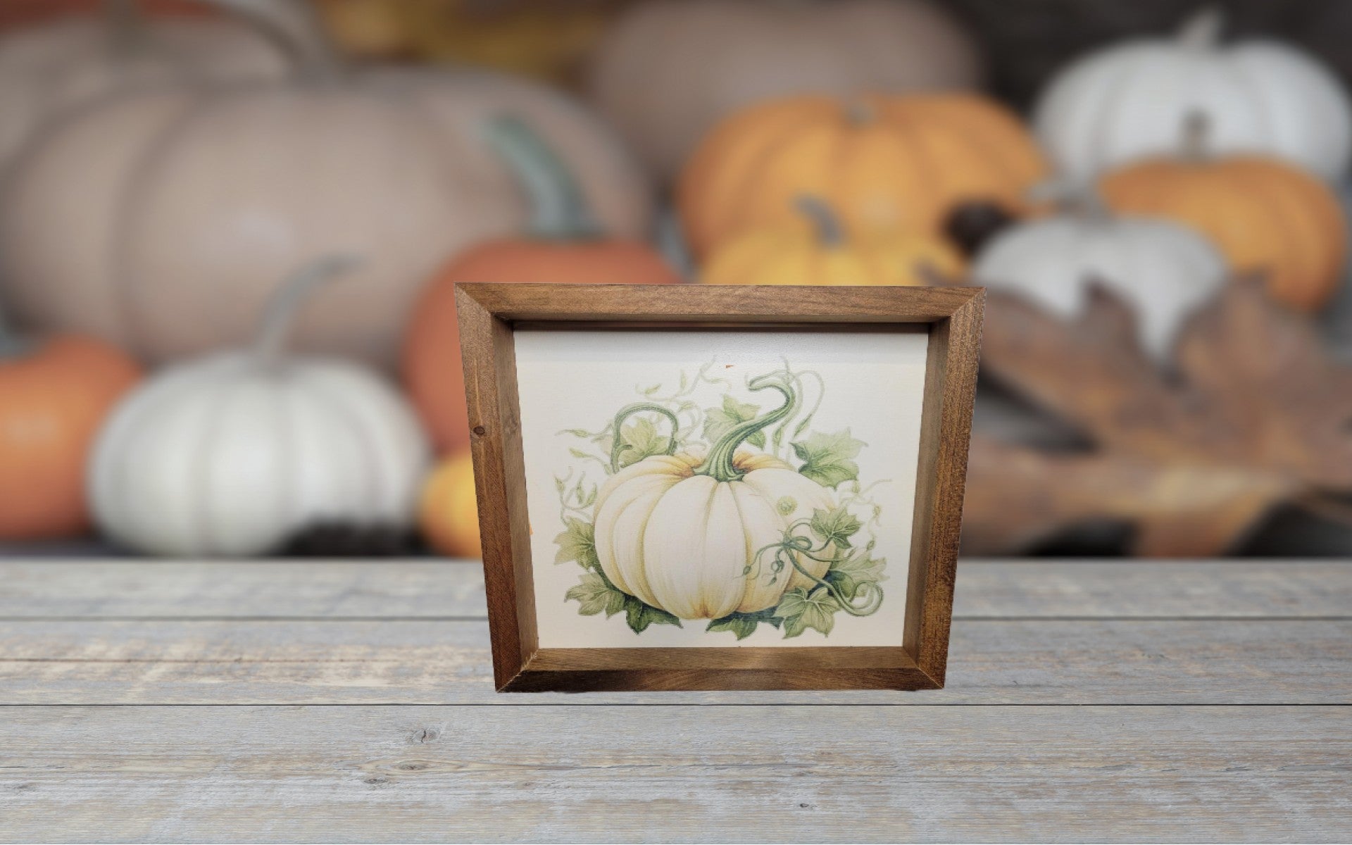 White Pumpkin Sign | Stain - Stain, Frame