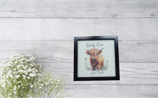 "Holy Cow I'm Cute" Highland Cow Wall Art – 8x8 Framed Baby Calf Decor – Rustic Nursery Art – Funny Farmhouse Kids Room Decor – Black Framed Highland Cow Print